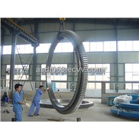 3-Raw Roller Bearing