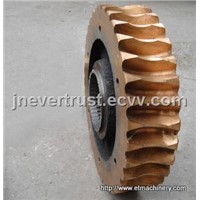 worm gear for XCMG motor grader
