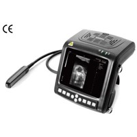 wrist vet ultrasound scanner KX5200(veterinary, human )