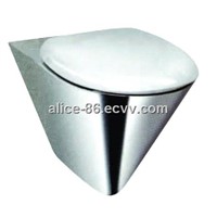 Stainless Steel Toilet