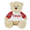 Plush Teddy Bear