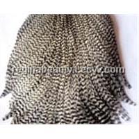Rooster Feather for Hair Extension and Decoration