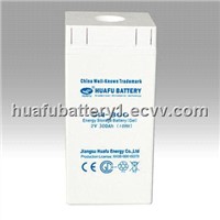 Agm/Lead-Acid/Gel Battery