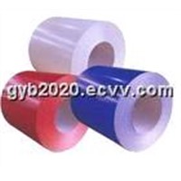 Prepainted Steel Coil and Sheet