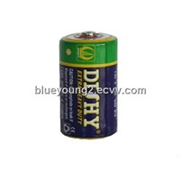 R20 Carbon Dry Battery