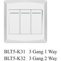 BLT5