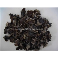 Black Fungus Extract