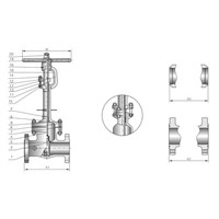 Cryogenic Gate Valve