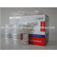 Eco Friendly PCR and DNA Fragment Purification Kit DNA Purification Kit