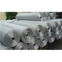 Galvanized Welded Wire Mesh