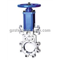 Gate Valves