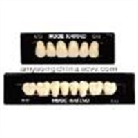 KAIFENG synthetic polymer teeth(acrylic teeth)