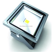 LED Floodlight