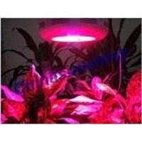 LED Plant Grow / Plant Light (CSS-DP)