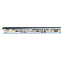 LED waterproof rigid strip light
