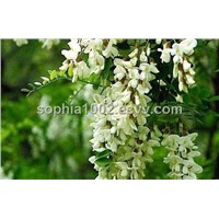 Quercetin 98% Quercetin (UV),sophia(at)international-biz.com