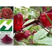 Rose Hip Extract