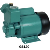 Self-Priming Pure Water Pump (GS120)