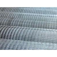 Welded Wire Mesh