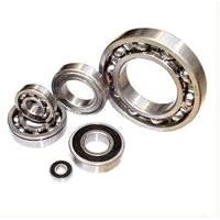 Double Row Full Complement Seal Cylindrical Roller Bearings