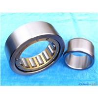 double row full complement seal Cylindrical Roller Bearings