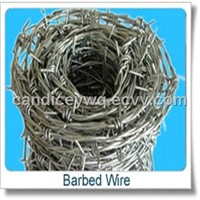 Galvanized Barbed Iron Wire