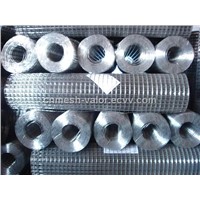 Galvanized Welded Wire Mesh