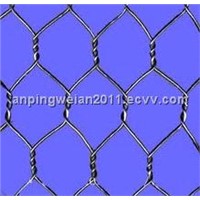 hot dipped galvanized chicken wire netting (ISO)