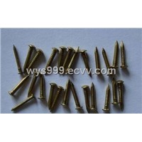 Solid Brass Nail