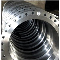 Stainless Steel Forging and Flange