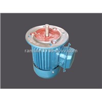 Three Phase Electric Motor