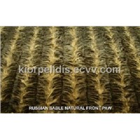 SABLE FRONT PAW RUSSIAN PLATES