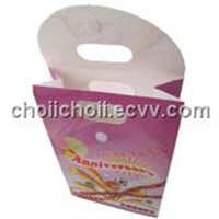 Paper Gift Bag