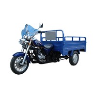 150cc three wheel motorcycle cargo DF150Zh-D