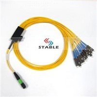 1X10 MPO-MU SM patch cord