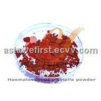 2% Astaxanthin powder