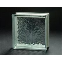 Coral glass block