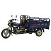 Motorized Tricycle (DY100ZH)