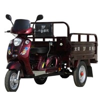 Motorized Tricycle (DY110ZH-A)
