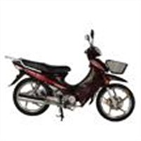 Motorcycle (DY110-15)