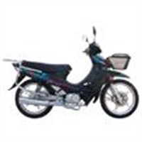 Motorcycle (DY48Q-2)