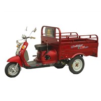 Motorized Tricycle (DY50ZK)