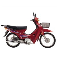 Motorcycle (DY90-4)