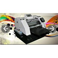 Digital Flatbed Colorful Photographic /Picture Printer