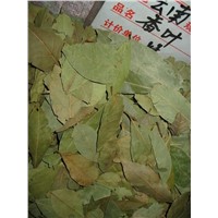 bay leafs