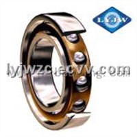 Flange Slewing Ring