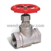 Full Bore 200PSI Stainless Steel Gate valve/globe valve