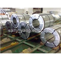 Galvanized / Pre-Painted Steel Coil / Plate / Sheet