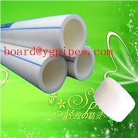 Hot water pipe/ppr pipe/pipe made in china/high quality ppr pipe