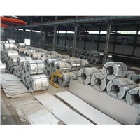 Mirror Stainless Steel Coil 316